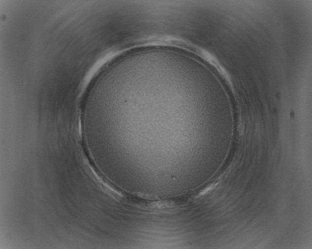 X0000067841368200604271609