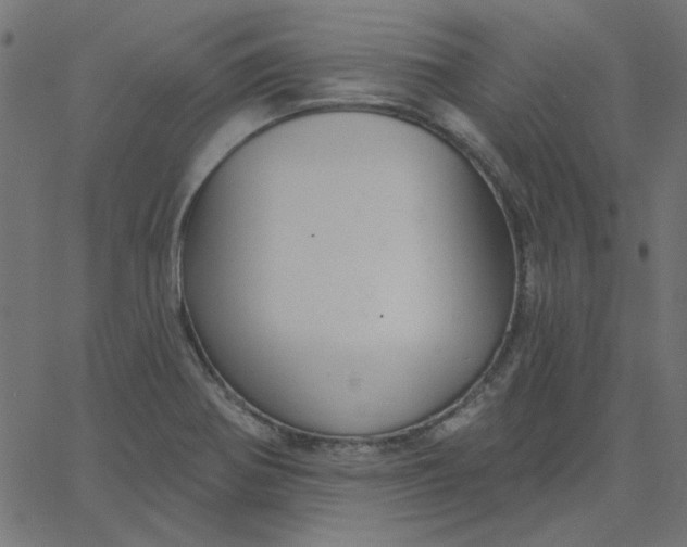 X0000067841370200604271609