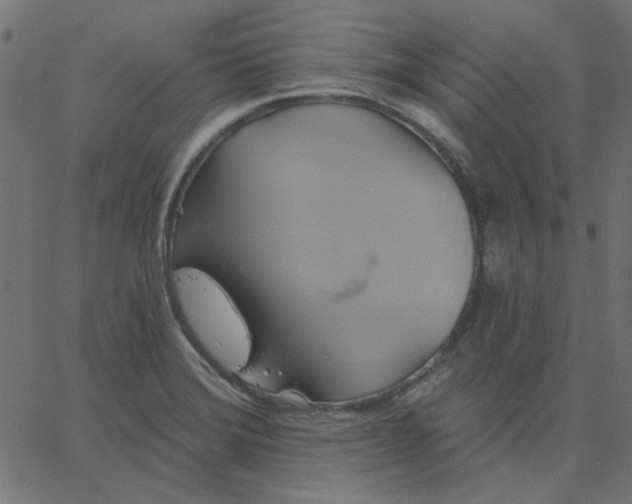 X0000067841372200604271609