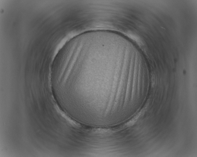 X0000067841374200604271609