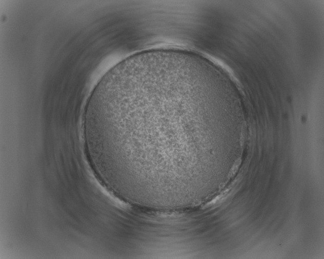 X0000067841375200604271609