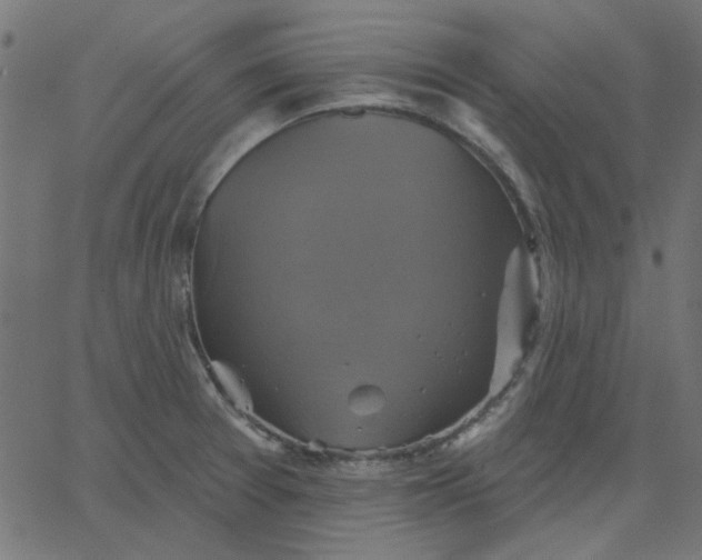 X0000067841377200604271609