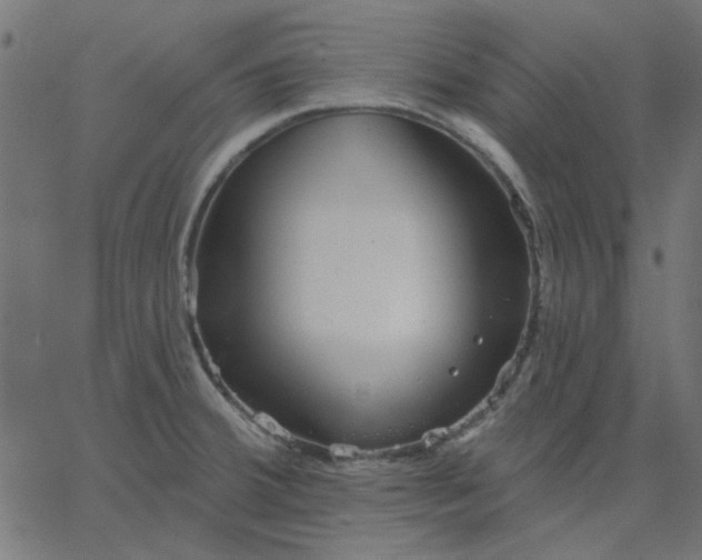 X0000067841380200604271609