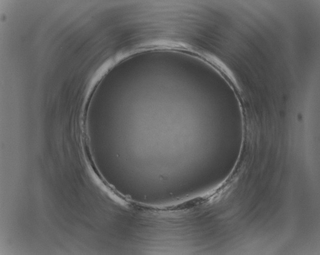 X0000067841381200604271609