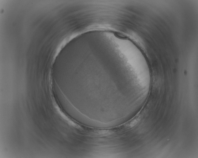 X0000067841382200604271609