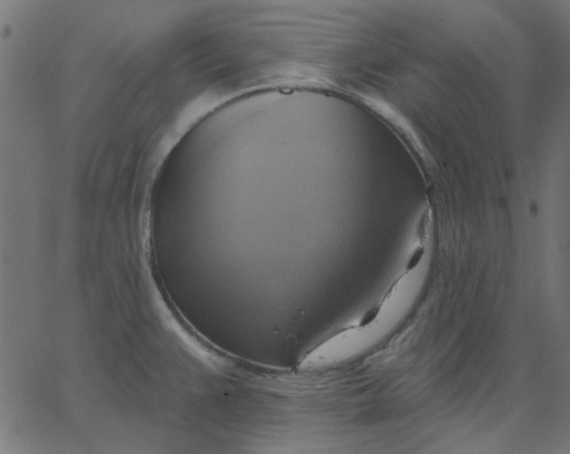 X0000067841383200604271609