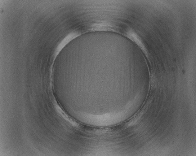 X0000067841386200604271609