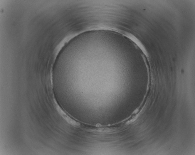 X0000067841388200604271609