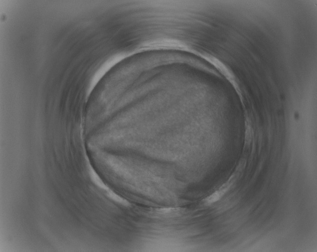 X0000067841390200604271608