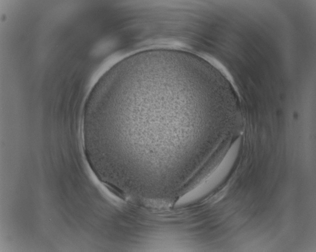 X0000067841391200604271608