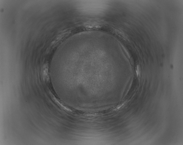 X0000067841396200604271608