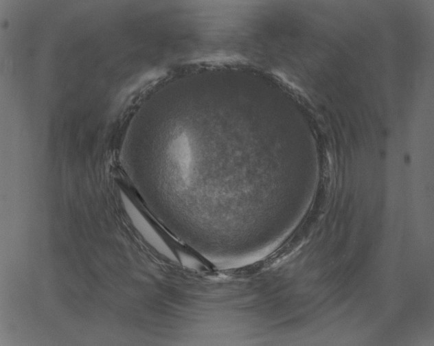 X0000067841398200604271608