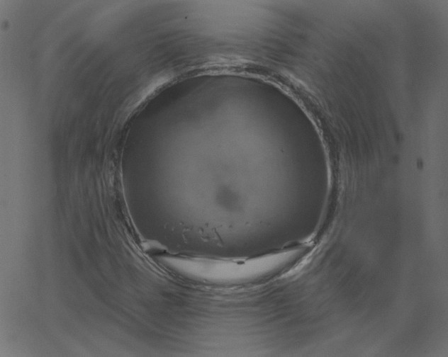 X0000067841401200604271608