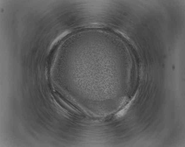 X0000067841402200604271608