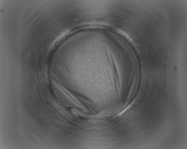 X0000067841403200604271608