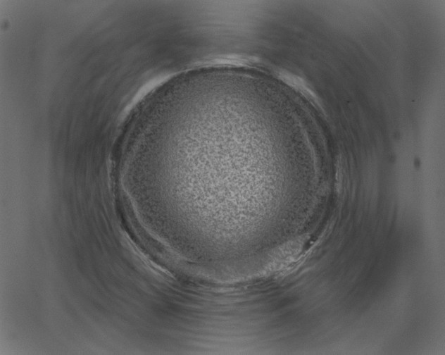 X0000067841404200604271608