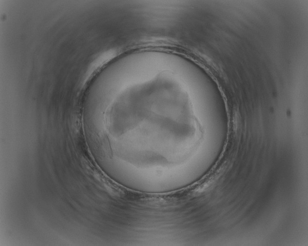 X0000067841405200604271608