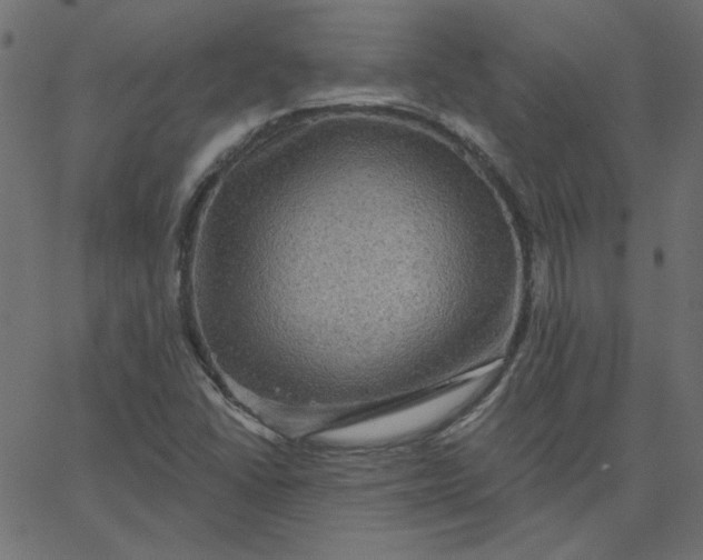 X0000067841406200604271608