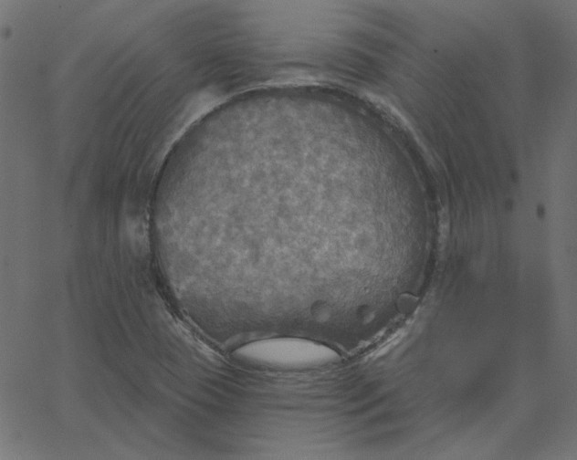 X0000067841409200604271608