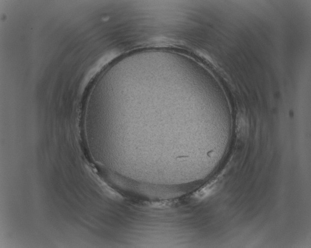 X0000067841410200604271608