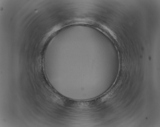 X0000067841411200604271608