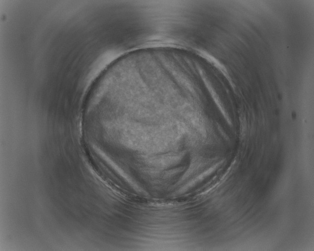 X0000067841415200604271608