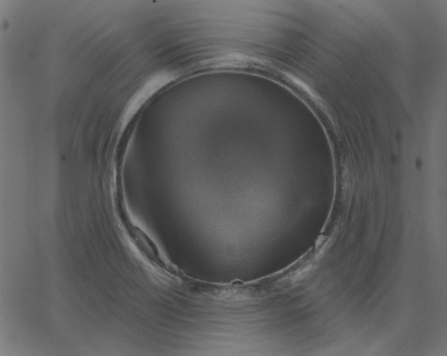 X0000067841418200604271608