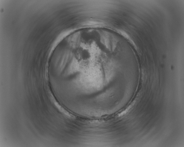 X0000067841421200604271608