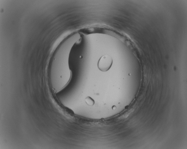 X0000067841422200604271608