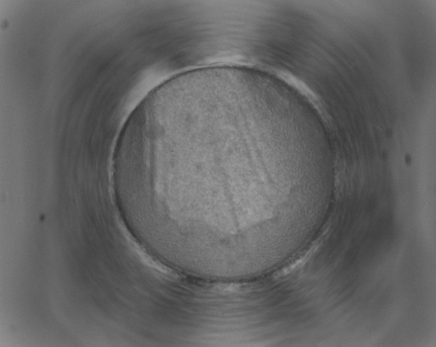 X0000067841423200604271608