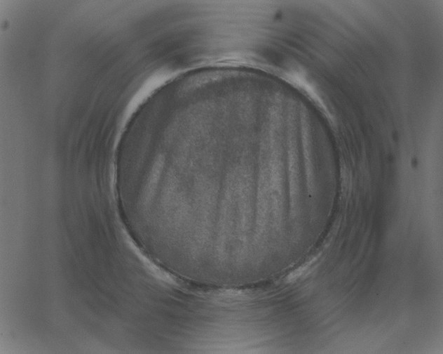 X0000067841424200604271608