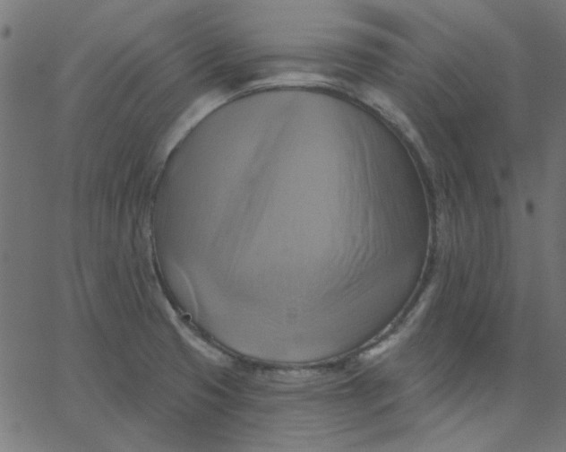 X0000067841425200604271608