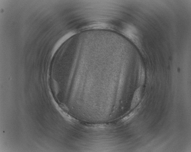 X0000067841426200604271608