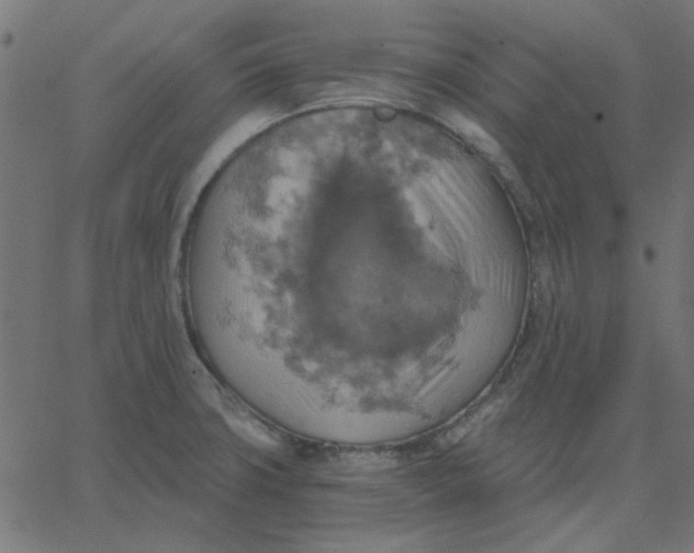 X0000067841427200604271608