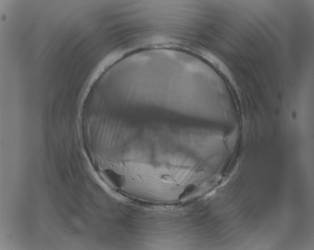 X0000067841429200604271608