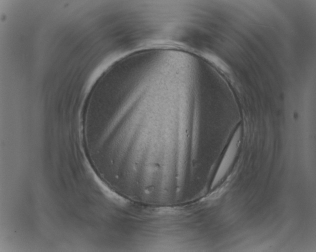 X0000067841430200604271608