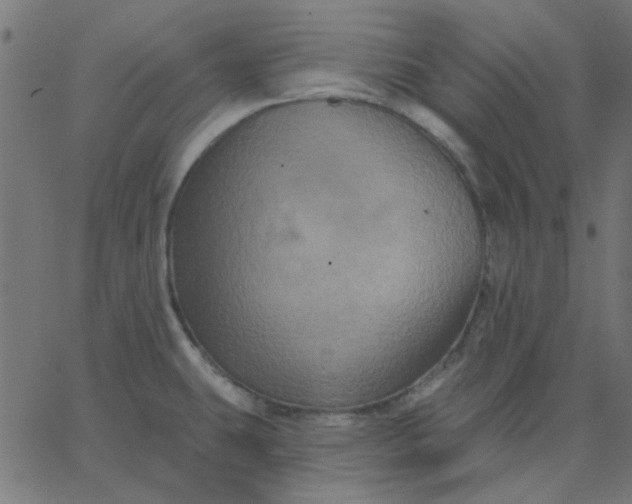 X0000067841431200604271608