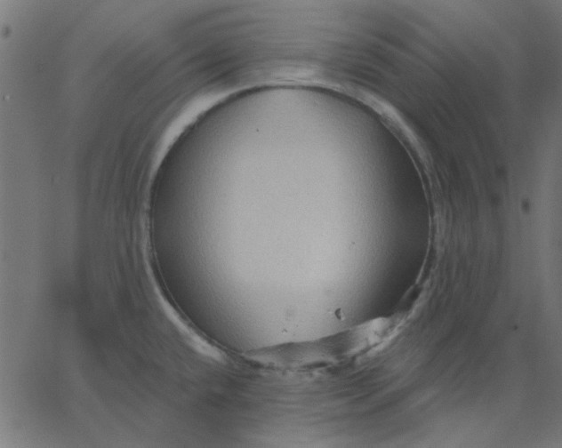 X0000067841432200604271608