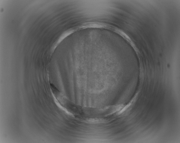 X0000067841433200604271608