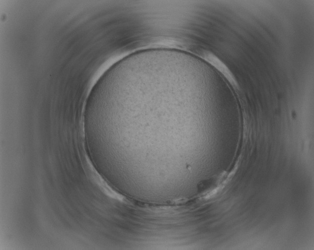 X0000067841436200604271608