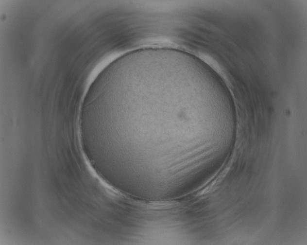 X0000067841440200604271608