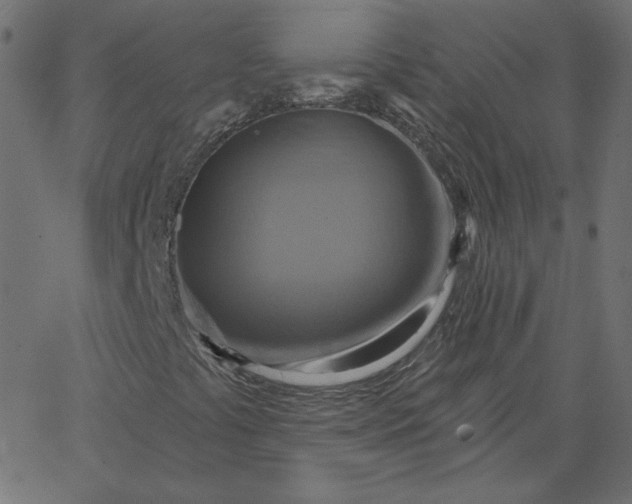 X0000067841441200604271608