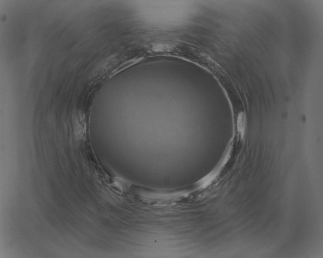 X0000067841443200604271608