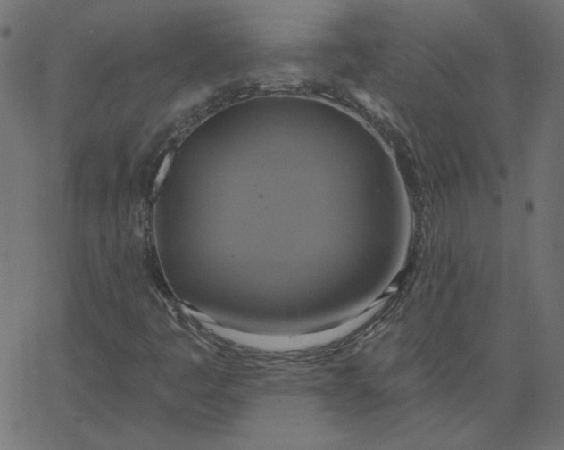 X0000067841445200604271608