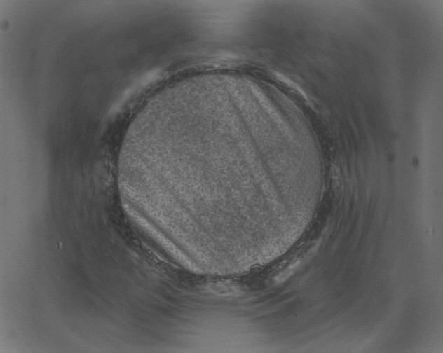 X0000067841447200604271607