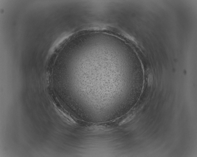 X0000067841448200604271607