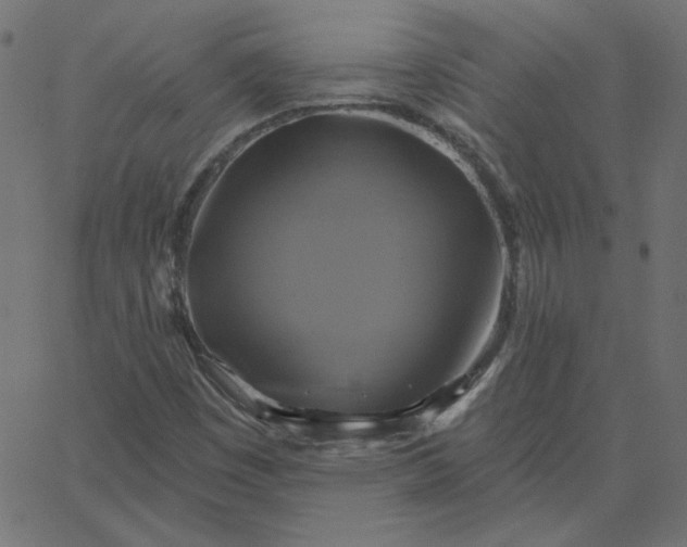 X0000067841449200604271607