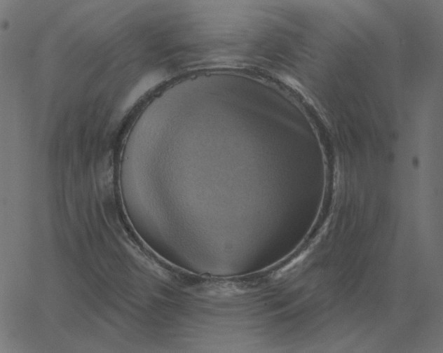 X0000067841450200604271607