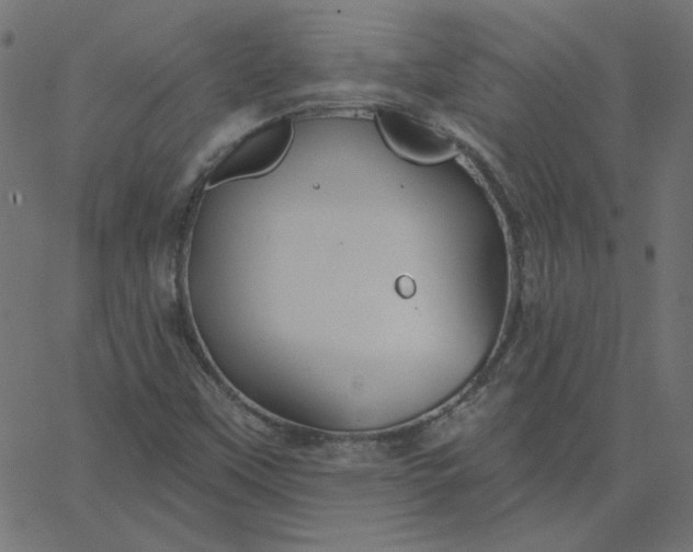 X0000067841451200604271607