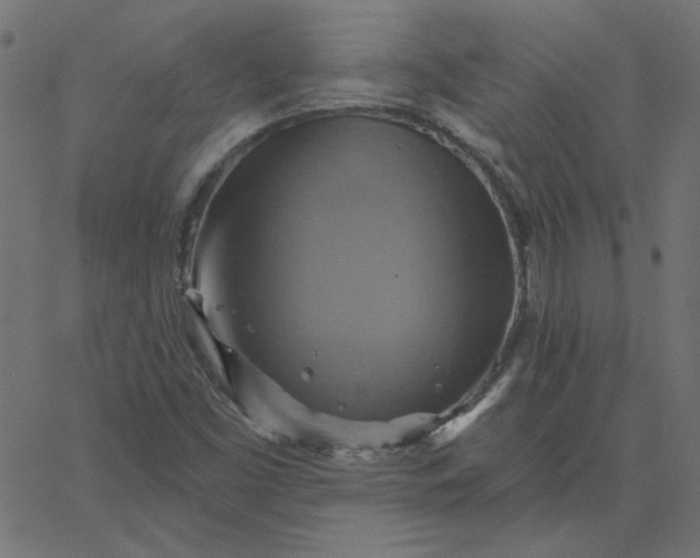 X0000067841453200604271607